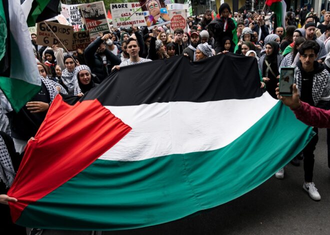Palestinian Youth Movement Vows to Make Genocide Support Too Costly for Maersk