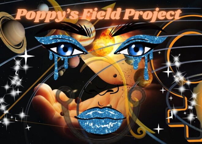 08/27/2025 Poppy’s Field Project