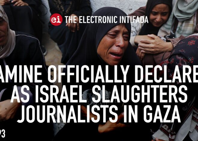 Famine officially declared as Israel slaughters journalists in Gaza, with Nora Barrows-Friedman