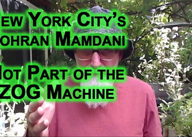 New York Cityâs Zohran Mamdani: Politicians Not Part of the ZOG Machine Should Be Your #1 Choice