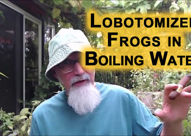 Normie Masses Are the Lobotomized Frogs in the Boiling Water Experiment: Perfect Analogy for Society