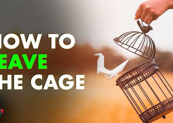 How to Leave the Cage – #SolutionsWatch – OffGuardian