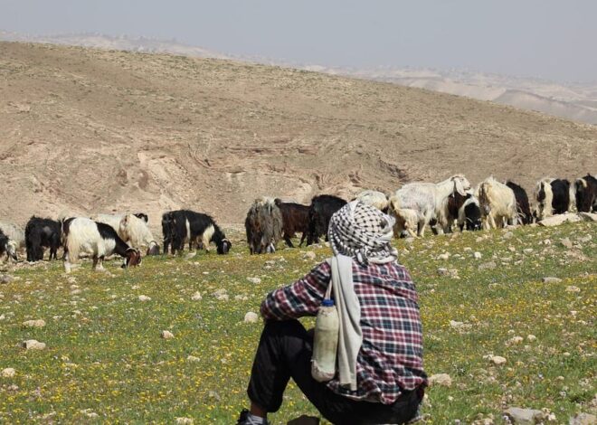 “The ethnic-cleansing of Deir Alla.”