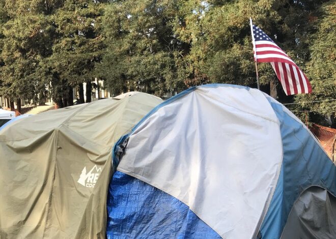 THE INTERNING OF AMERICA’S HOMELESS