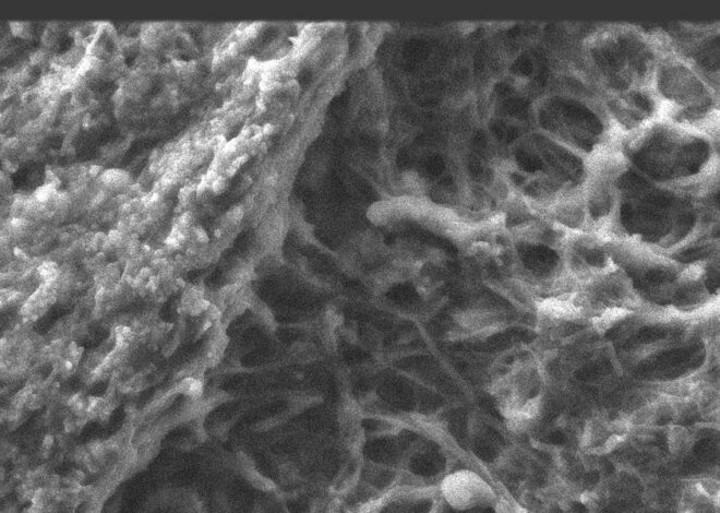Clot Shot Science with Thomas Haviland and Greg Harrison