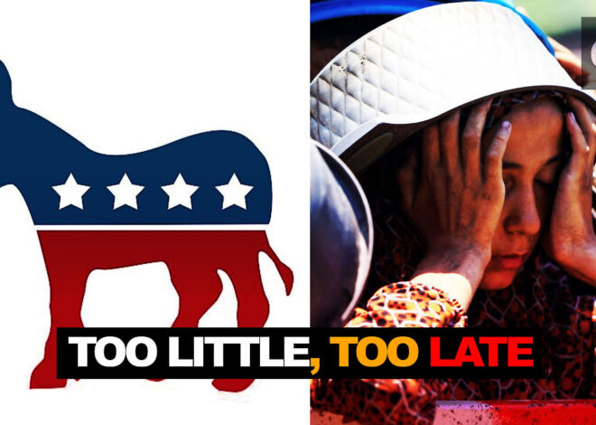 Establishment Dems issue meekly condemn Gaza famine