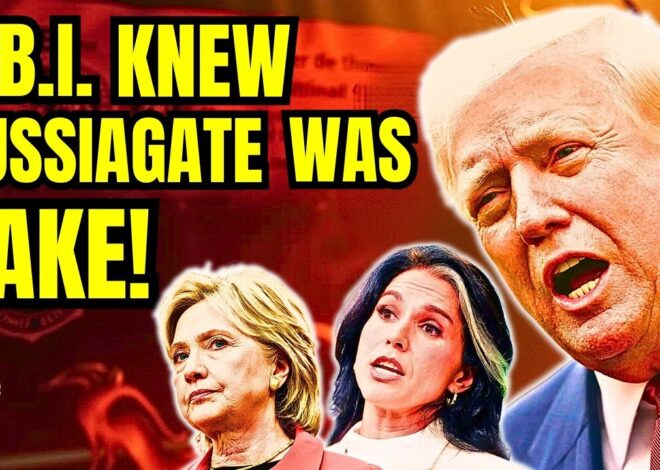 NEW INTERNAL DOCS: FBI & NSA Never Believed Russia Hacked DNC