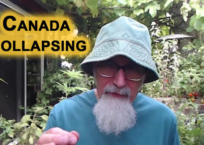 Canada Collapsing, I Do Not Recommend Immigrating Here: More Opportunities in the United States