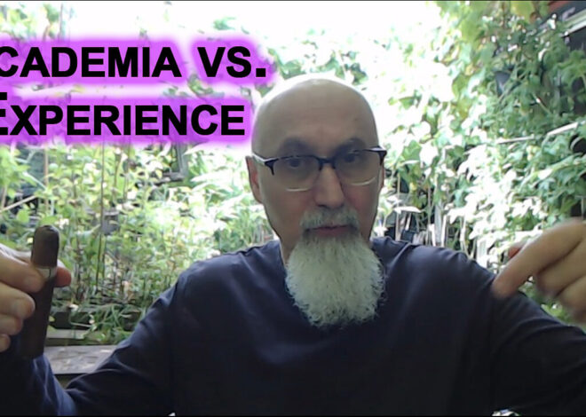 Academia vs. Experience, Nuances vs. Real Life Application: Mercantilism & Controlling Supply Routes