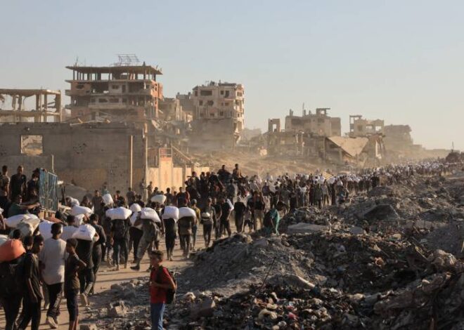 The Verdict of History: How Political Calculations Betrayed Gaza