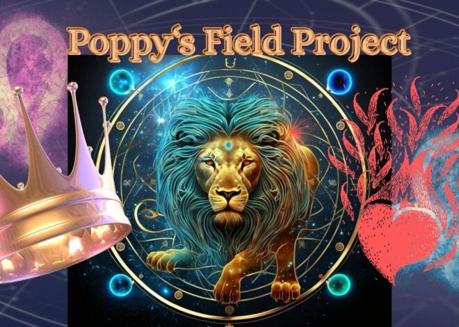 08/13/2025 Poppy’s Field Project