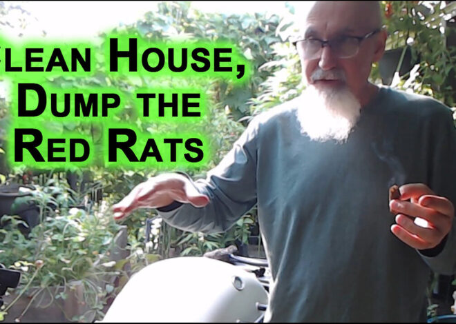 Clean House, Dump the Red Rats