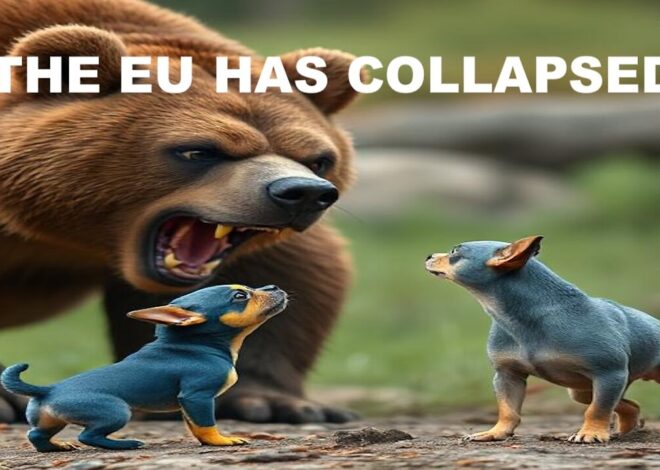 THE EU HAS COLLAPSED AS IT’S SUICIDAL LEADERS SCREAM FOR ATTENTION AND DESTRUCTION