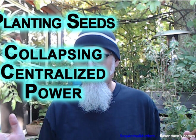 Debating Red Rats, Planting Seeds for the Future: Improving Society One Person at a Time, Solutions