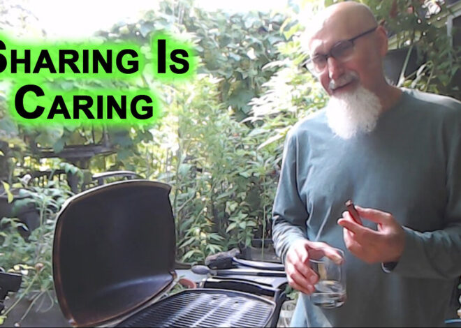 Sharing Is Caring: Donât Be a Black Hole, Act as a Node & Share What You Know, Teach & Be Like Water