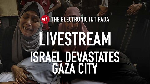 Breaking news and analysis on day 699 of the Gaza genocide | The Electronic Intifada