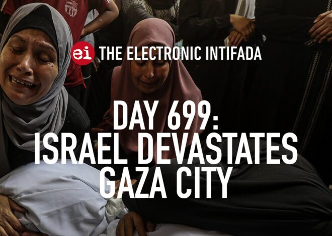 Breaking news and analysis on day 699 of the Gaza genocide | The Electronic Intifada