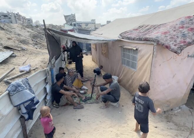 Netanyahu starving, ethnically cleansing Gaza – Gaza War Day 706