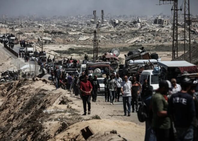 Over half the population of Gaza need shelter – Gaza War Day 708