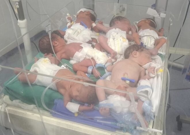 What Kind of Life Awaits the Six Babies Born in Gaza This Weekend
