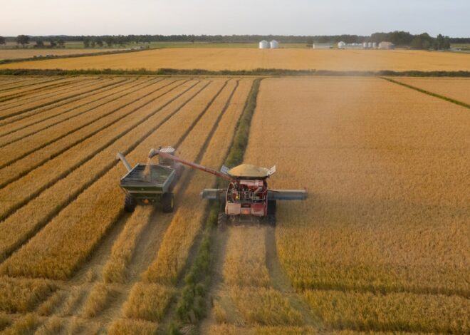 How an Illinois Farmer Turned Flooded Farmland Into Rice Paddies — ProPublica