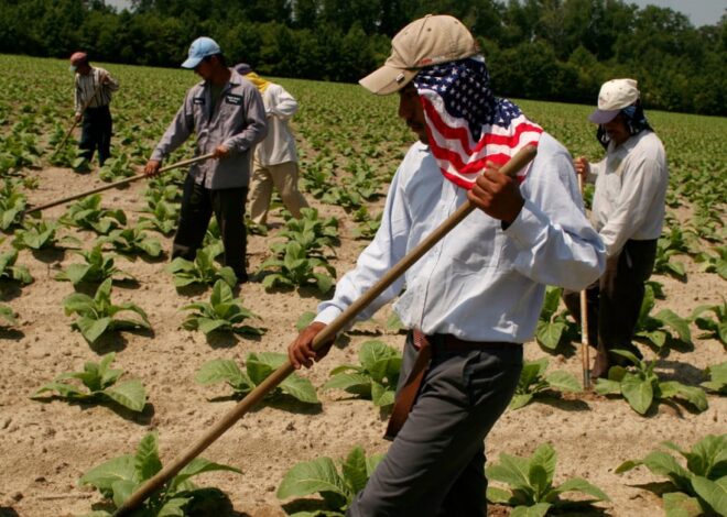 How to Make H-2A Farmworker Visa Program Safer, According to Experts — ProPublica