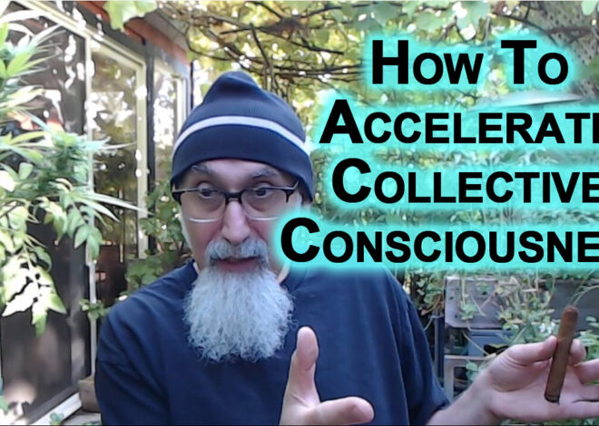 How To Accelerate Collective Consciousness: Let System Collapse, Build Alternatives, Solutions