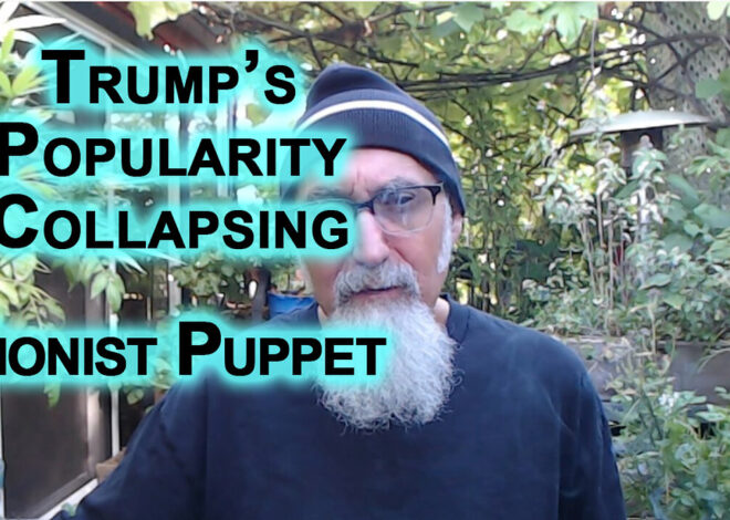 Trumpâs a Coward and His Popularity Is Collapsing Because Everyone Now Knows He Is a Zionist Puppet