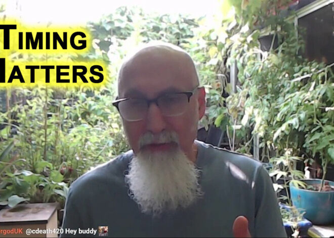 Timing Matters, Donât Listen to the Wall Street Used Car Salesmen