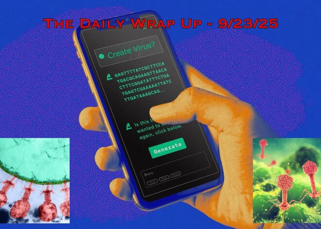 AI Is The New Gain-Of-Function, Your Israeli Managed Digital Verification & IDF Kills 4 US Citizens