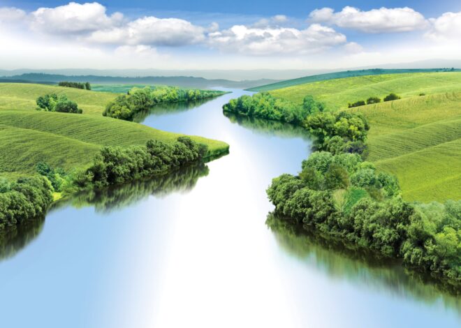 Spreading My Ashes in the Twisting River – OffGuardian