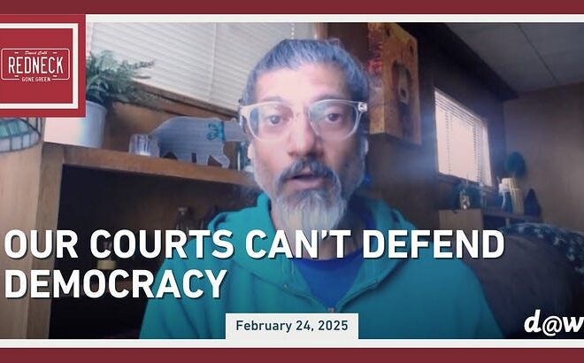 Our Courts Can’t Defend Democracy W/Shahid Buttar