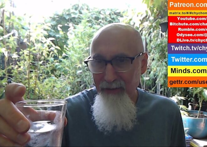 Patio Garden Open Discussion — Friday, September 5, 2025 [ASMR]