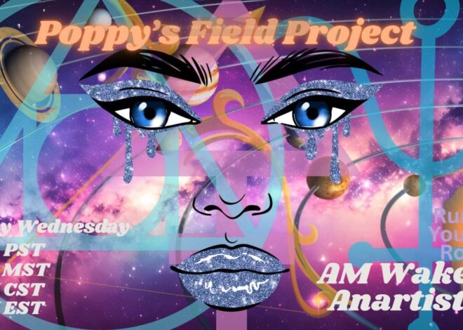 09/17/2025 Poppy’s Field Project