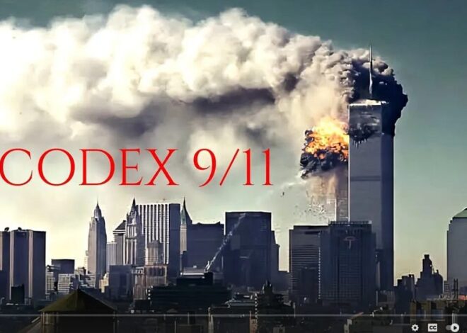 Brad Zerbo’s Codex/911 is a “must watch”
