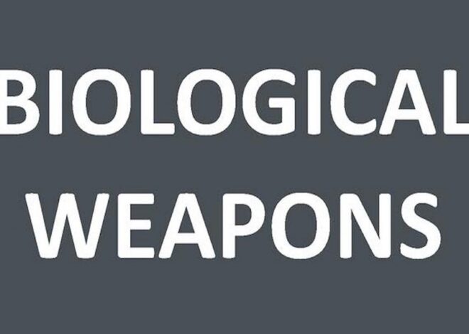 Interview With Dr. Joseph Sansone