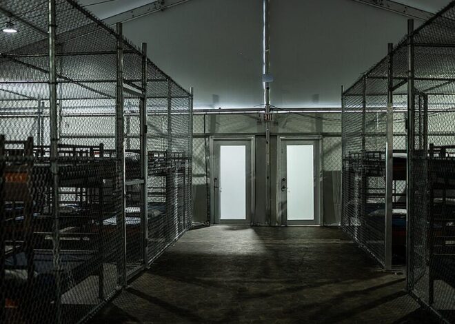 Alligator Auschwitz Is Dying, But Its Victims Aren’t Free.