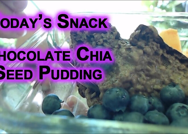 Todayâs Snack: Chocolate Chia Seed Pudding With Fruit (RECIPE in description, Gluten and Dairy Free)
