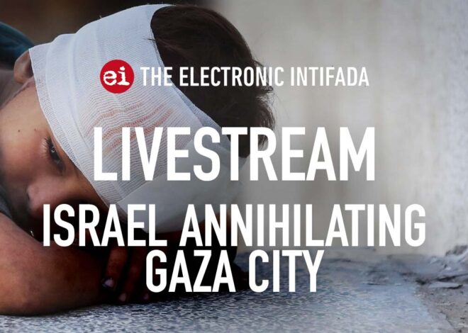 Breaking news and analysis on day 713 of the Gaza genocide | The Electronic Intifada