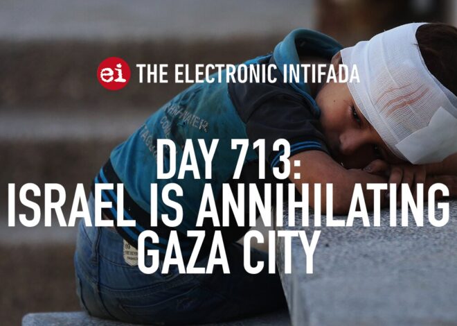 Breaking news and analysis on day 713 of the Gaza genocide | The Electronic Intifada