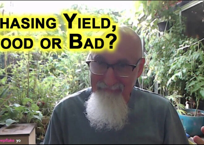Is It Good To Chase Yield, Chasing Dividend Stocks With Good Yields