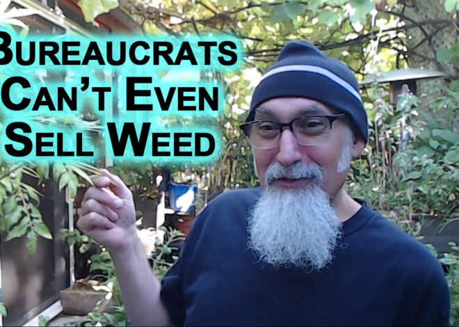 Bureaucrats Canât Even Figure Out the Best Way To Sell Weed, Imagine What They Are Doing to Society