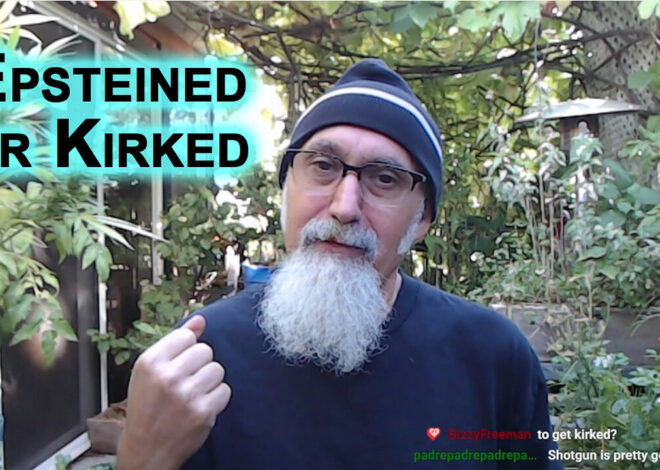 People That Fear Zionist Israel Are Those Working for Them or Indebted to Them: Epsteined or Kirked