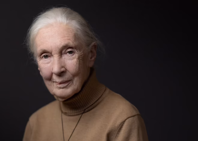 Jane Goodall said she wanted to send Netanyahu on a trip to space
