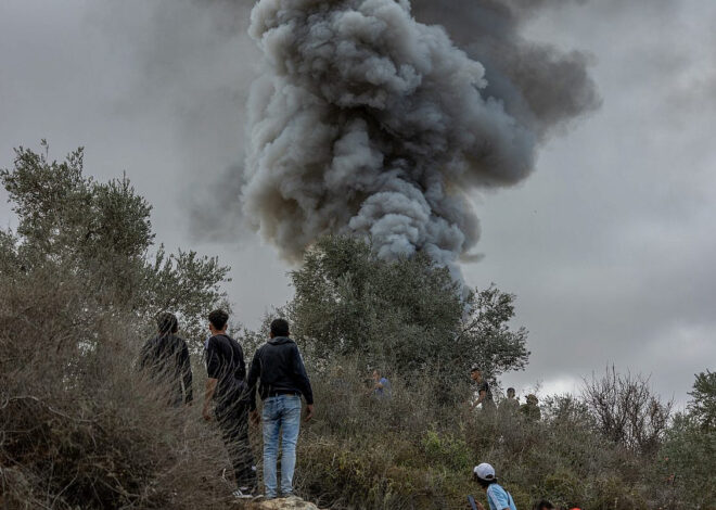 Illegal settler terror devastates West Bank olive harvest