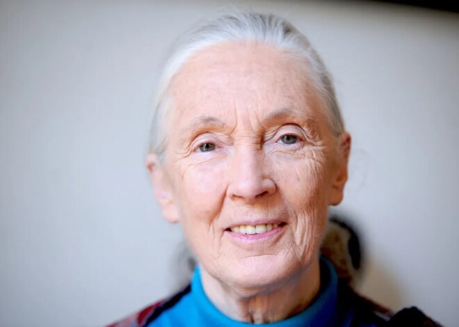 Jane Goodall, the Gentle Disrupter Whose Research on Chimpanzees Redefined What It Meant To Be Human