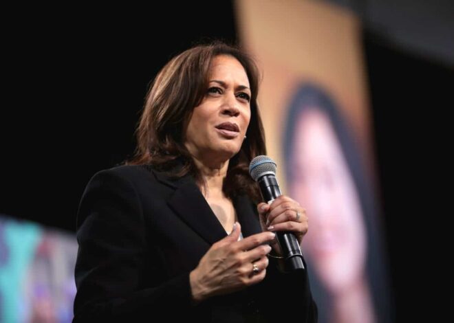 Democrats finally seem ready to address the Gaza genocide, but it won’t matter if they don’t support Palestinian rights – Mondoweiss