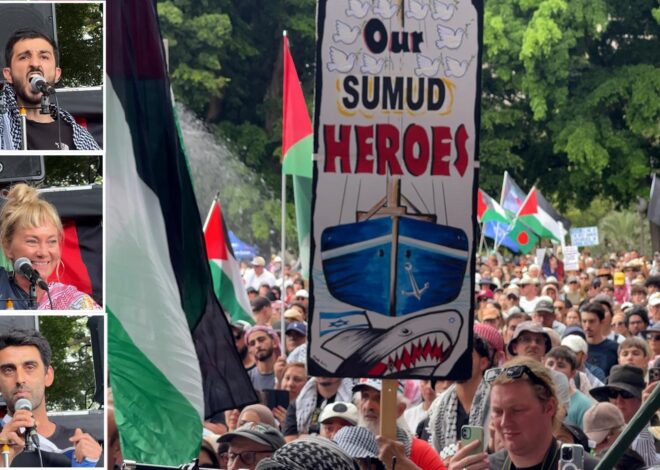 Flotilla Activists Speak Out – Consortium News