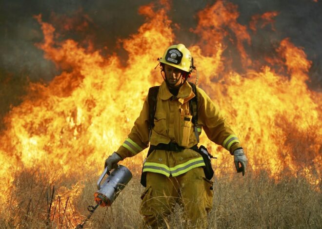 Senate Panel Advances Wildfire Bill Slammed as Timber Industry Giveaway