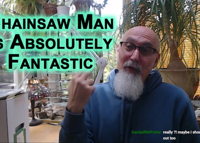 Thank You to Whoever It Was That Recommended Chainsaw Man, Absolutely Fantastic Anime